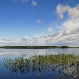 Три участка расположены на Ковжском водохранилище. Фото из электронной энциклопедии «Вода России»