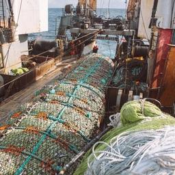Рыбный промысел на Дальнем Востоке. Фото пресс-службы РРПК
