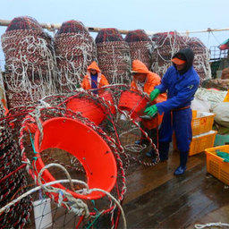 Промысел краба – важная часть рыбной промышленности