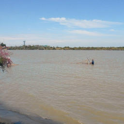 Устьевая часть реки Сулак. Фото пресс-службы КаспНИРХ