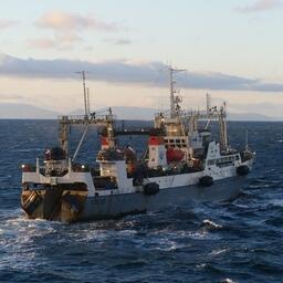 Рыбный промысел на Дальнем Востоке. Фото предоставлено «Океанрыбфлотом»