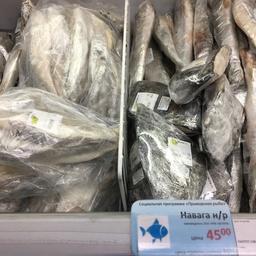 На Бирже «Санкт-Петербург» уже проведено 46 торговых операций по продаже рыбопродукции, в том числе в рамках программы «Приморская рыба»