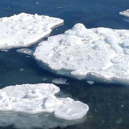 Карельские ученые исследуют влияние климата на морской лед