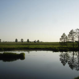 Река Судогда, на которой расположен один из выставленных на торги РВУ. Фото Чръный человек («Википедия»)
