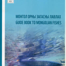 Определитель рыб Монголии. Фото пресс-службы WWF России