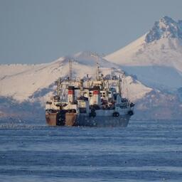 Рыбный промысел на Дальнем Востоке. Фото предоставлено «Океанрыбфлотом»
