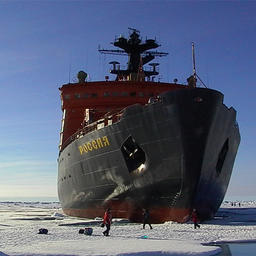 Пять прибрежных государств отказались от рыболовства в Арктике