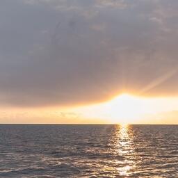 Национальное управление океанических и атмосферных исследований (NOAA) занимается в том числе надзором в области рыболовства