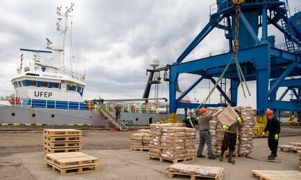 Выгрузка рыбной продукции в порту Архангельска. Архивное фото