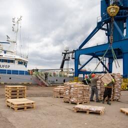 Выгрузка рыбной продукции в порту Архангельска. Архивное фото