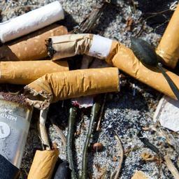 Сигаретные окурки — нередко самый распространенный мусор на пляжах. Фото пресс-службы ООН