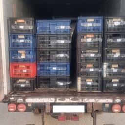 Груз остановили на российско-казахстанском участке границы в пункте пропуска «Озинки» . Фото пресс-службы Россельхознадзора