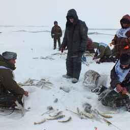 Продолжается регистрация команд на «Сахалинский лед 2023»