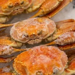 Главным экспортным объектом стал мороженый краб-стригун опилио. Архивное фото