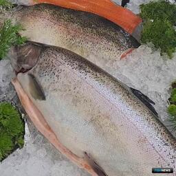 Рыба и морепродукты – одна из категорий международной торговли продукцией АПК