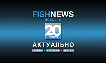В рамках проекта Fishnews «Актуально вчера, сегодня, завтра» рассказываем о регулировании промысла лососей