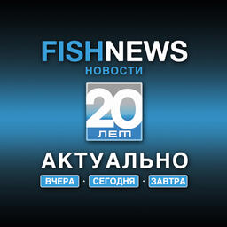 В рамках проекта Fishnews «Актуально вчера, сегодня, завтра» рассказываем о регулировании промысла лососей