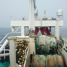 Рыбный промысел на Дальнем Востоке. Архивное фото