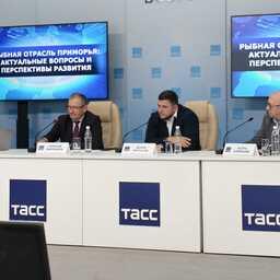 В ТАСС прошла пресс-конференция по итогам общего годового собрания АРПП