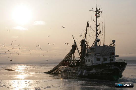 «Рыбная» комиссия РСПП обсудит вопросы таможенного оформления