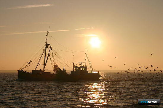 Рыболовецкий траулер в Северном море. Фото Arne Nordmann («Википедия»)