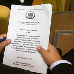 Участники парламентских слушаний раскритиковали законопроект о втором этапе квот под инвестиции и новых аукционах
