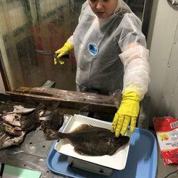 Специалисты АтлантНИРО провели научный мониторинг донного тралового и сетного лова в Балтийском море. Фото пресс-службы филиала