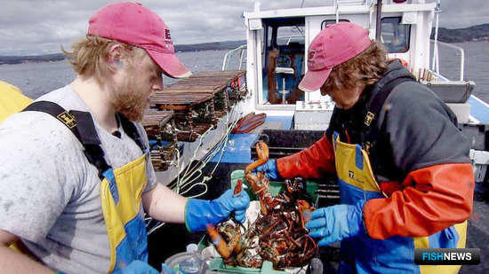 Промысел лобстера в водах Канады. Фото канадской телерадиовещательной корпорации CBC