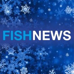 Медиахолдинг Fishnews поздравляет своих партнеров и читателей с Новым годом