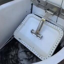 В реку Ардон выпустили 17 тыс. экземпляров молоди кумжи. Скриншот видео Северо-Кавказского теруправления Росрыболовства