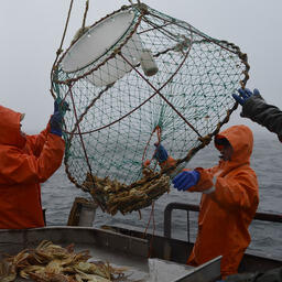 Съемки проводились на НИС «Зодиак». Фото пресс-службы ВНИРО