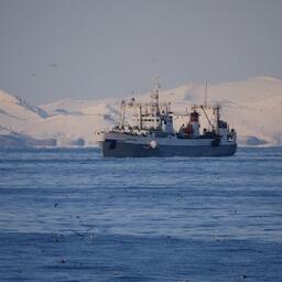 Рыбный промысел на Дальнем Востоке. Фото предоставлено «Океанрыбфлотом»