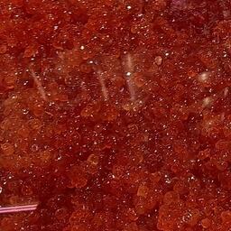 На Камчатке за первую декаду ноября Россельхознадзор проконтролировал вывоз самолетами более 4 тонн икры без маркировки