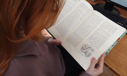 Миксины — загадочные обитатели морских глубин