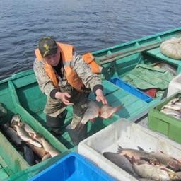 На Ямале с начала года выловили более 5 тыс. тонн рыбы. Фото пресс-службы правительства ЯНАО