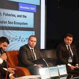 Позицию Астраханской области представил заместитель председателя правительства региона Илья ВОЛЫНСКИЙ. Фото пресс-службы областного кабмина