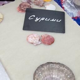 Минтаевое сурими российского производства