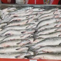 На Камчатке в рамках программы «Доступная рыба» продается в частности охлажденная горбуша. Фото пресс-службы правительства края
