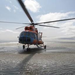 Обследования провели на вертолете МИ-8. Фото пресс-службы КамчатНИРО