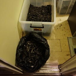 Крупную партию трепанга нашли в нежилом помещении, переоборудованном под офис. Фото пресс-группы Погрануправления ФСБ России по Приморскому краю