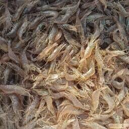 Вылов креветок и моллюсков в Азовском море вышел на исторический максимум. Фото пресс-службы ВНИРО