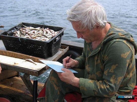 Исследование рыбных ресурсов Приморья