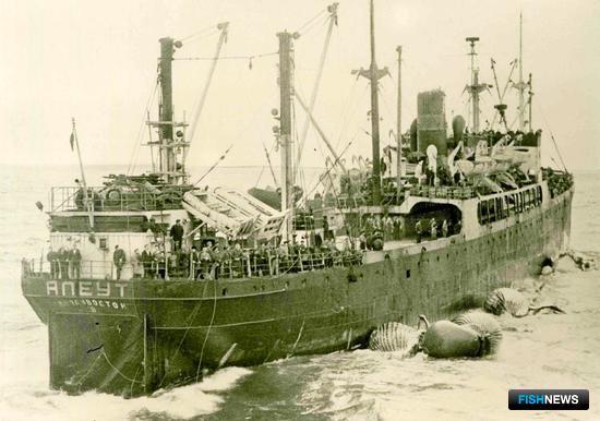 Первая советская китобойная база «Алеут». Фото из личного архива Виктора Щербатюка 