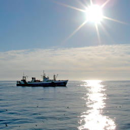 С 3 февраля для рыбацких судов изменятся правила прохождения контрольных точек