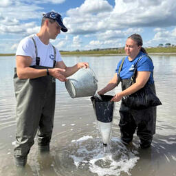 Исследования на соленых водоемах выполнили сотрудники лаборатории промысловых беспозвоночных Тюменского филиала ВНИРО. Фото пресс-службы института