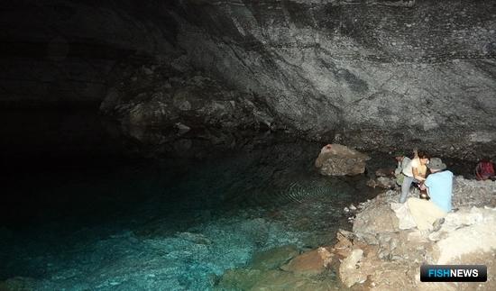 Неисследованное подземное озеро на глубине 65 м от поверхности. Фото пресс-службы ВНИРО