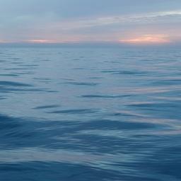 Рыболовная организация Норвегии Fiskebåt попросила своих членов не заходить в российскую исключительную экономическую зону до особого уведомления. Фото предоставлено АТФ