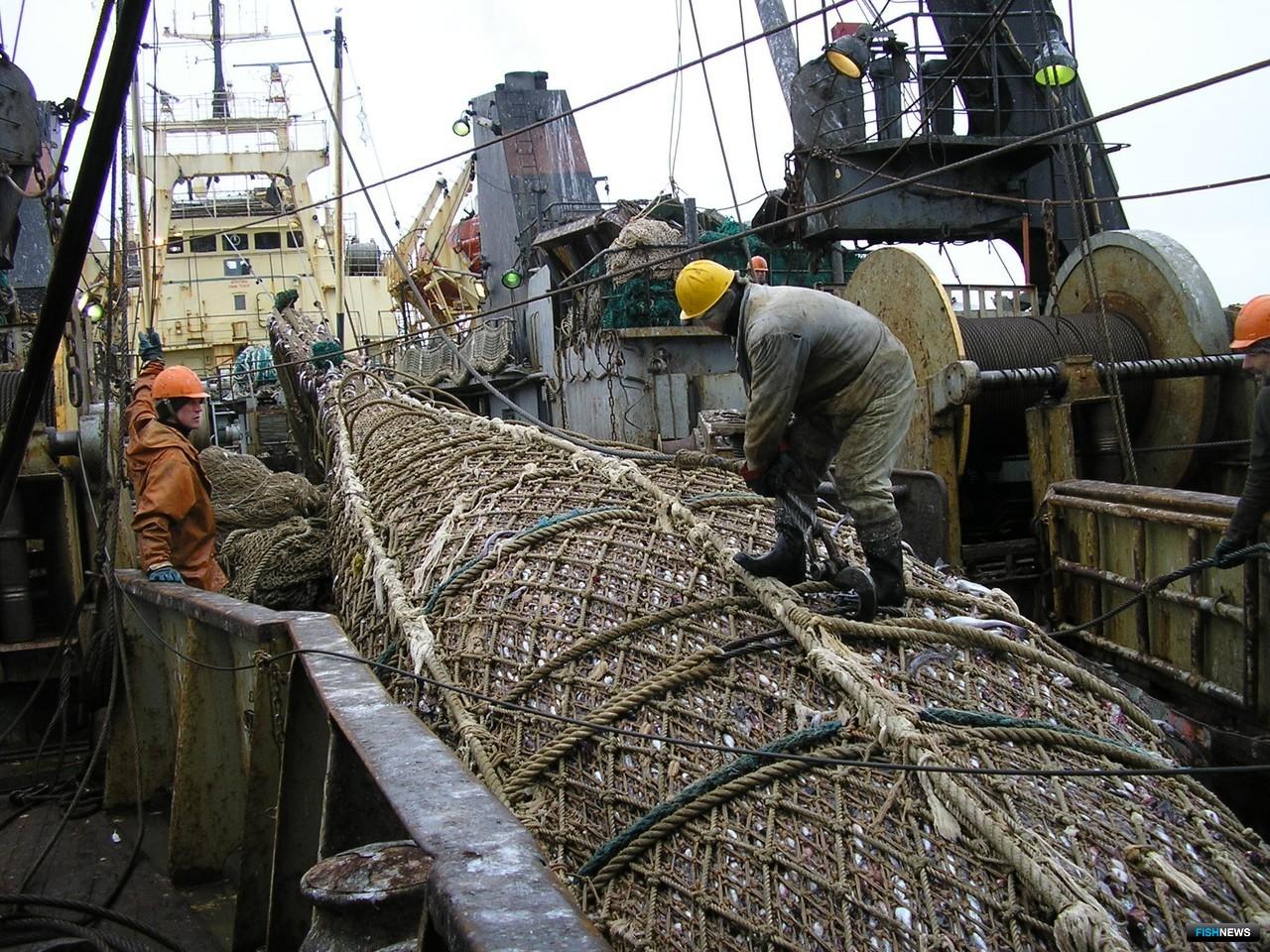 Морской рыбный промысел. Находкинская база активного морского рыболовства. Рыбный промысел на Дальнем востоке. Рыбный промысел в Мурманске. Рыбная промышленность России.