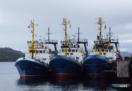 Российский промысел камчатского краба в Баренцевом море первым в мире получил сертификат MSC