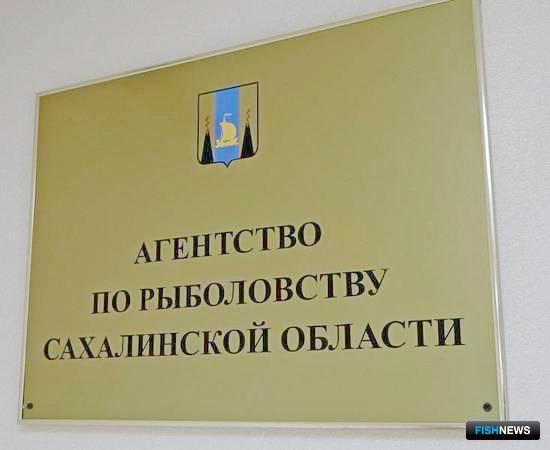 Место главы агентства пока вакантно. Фото пресс-службы правительства Сахалинской области